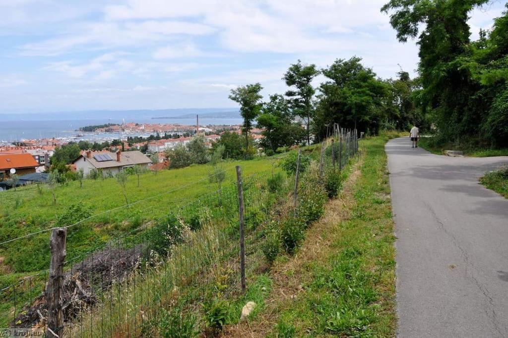 Apartment Izolanka / Great Location / Best Sea And City View Eksteriør billede